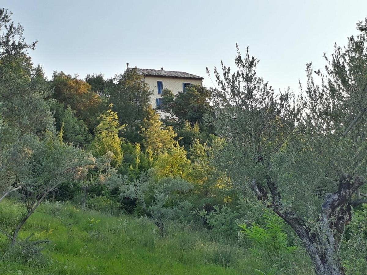 La Casa Dalle Finestre Blu 아바테지오 외부 사진